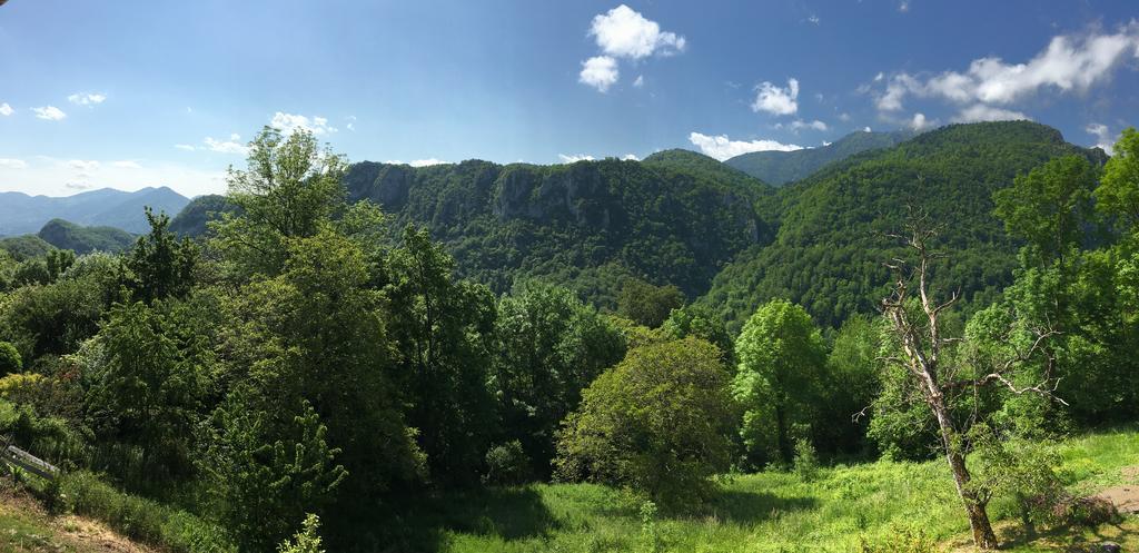 Gite De Serrelongue Montségur المظهر الخارجي الصورة